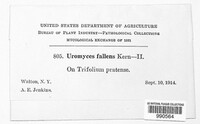 Image Associated With the Occurence